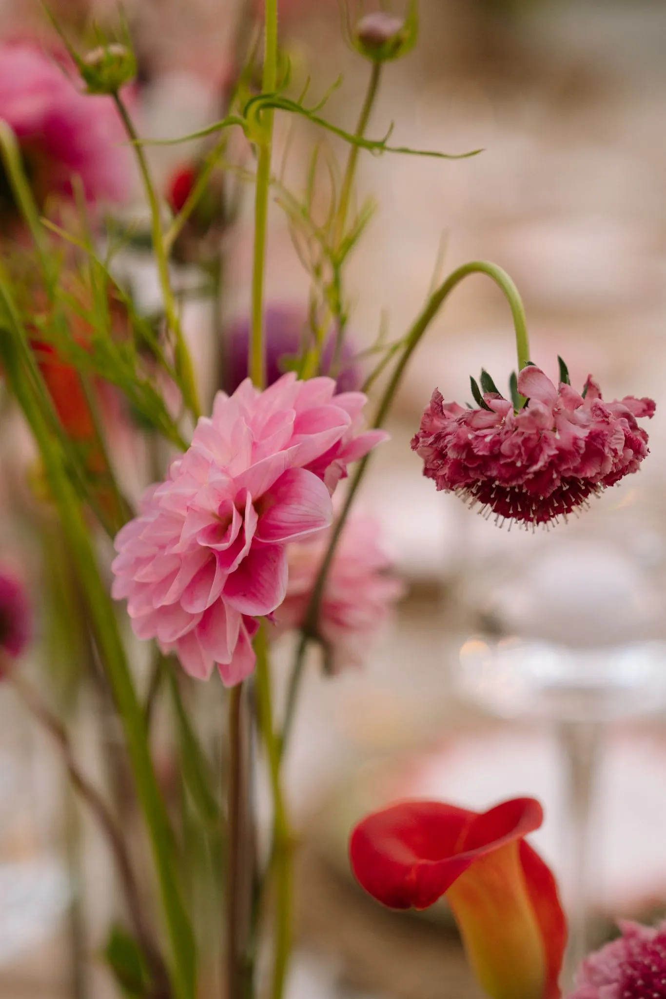 A close study of pink dahlias and a coral calla lily on a styled table